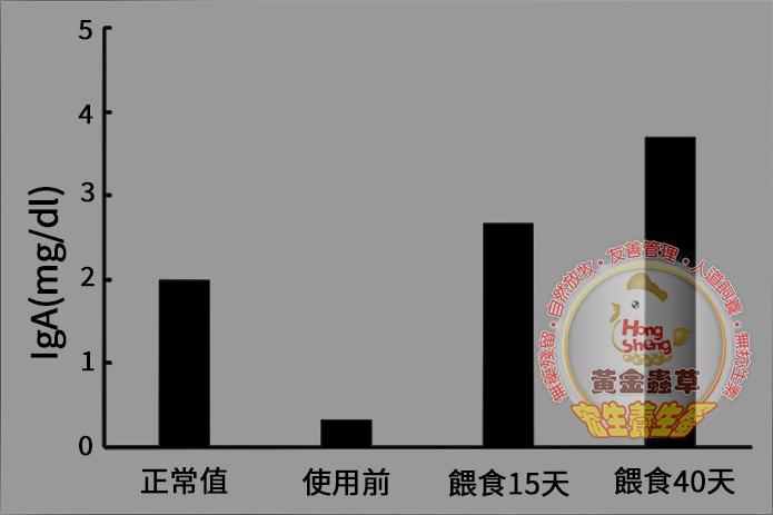 宏生蛋雞畜牧場 黃金蟲草蛋